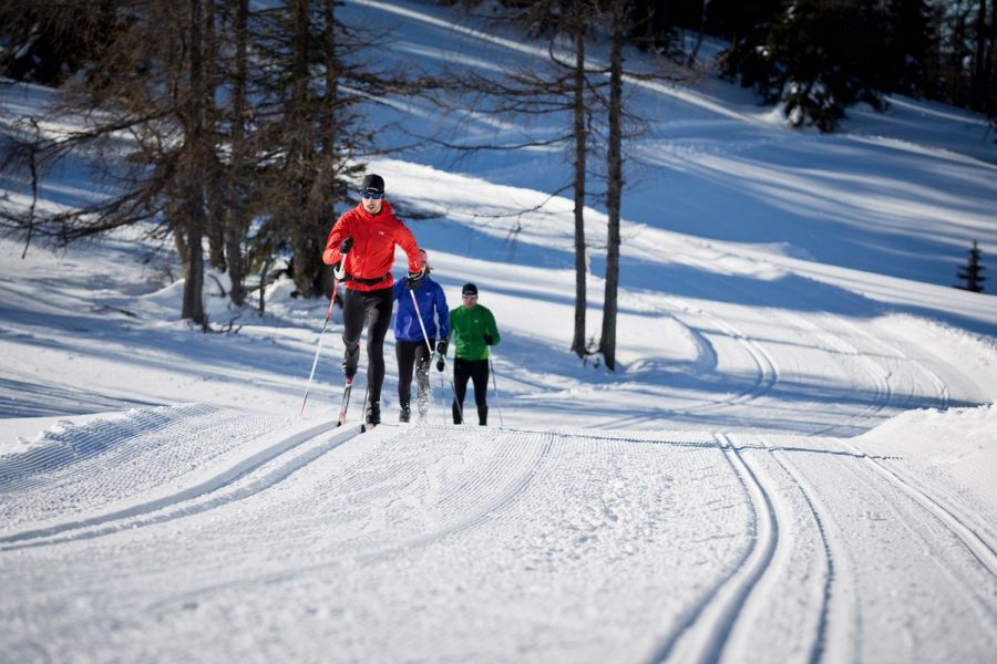 Drei Langläufer in roter, blauer und grüner Jacke laufen auf einer gespurten Loipe im Schnee mit Bäumen im Hintergrund