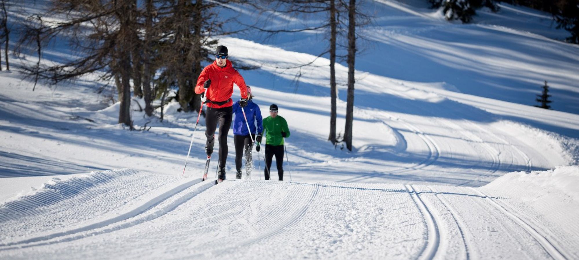 Drei Langläufer in roter, blauer und grüner Jacke laufen auf einer gespurten Loipe im Schnee mit Bäumen im Hintergrund