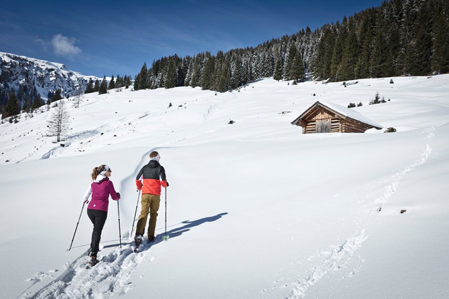 Zwei Personen mit Schneeschuhen wandern auf verschneitem Hang auf eine kleine Holzhütte zu, im Hintergrund Tannenwald und Berggipfel