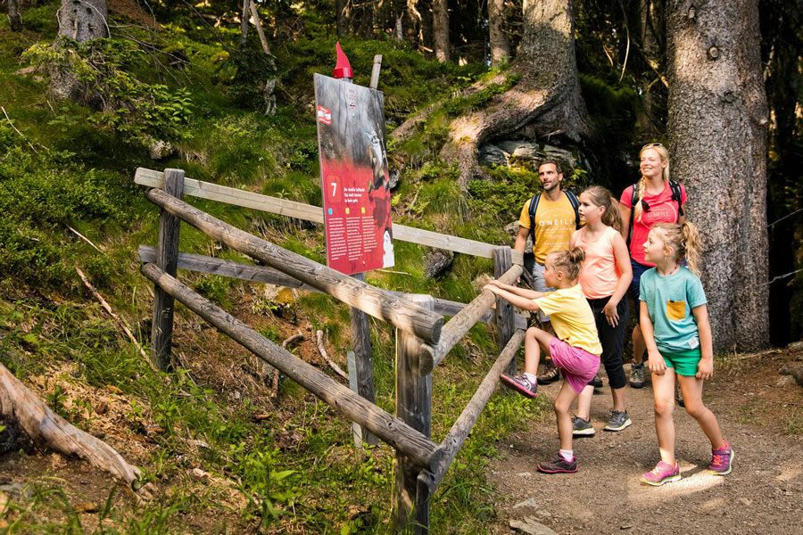 Fünf Kinder mit Rucksäcken stehen an einem hölzernen Geländer und betrachten ein rotes Infotafel im Wald
